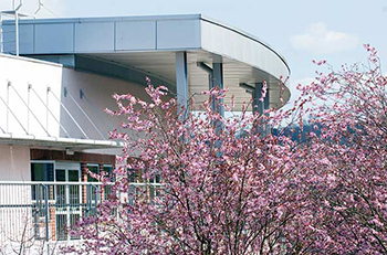 Nuffield Orthopaedic Centre building with flowering cherry tree in front