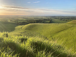 Rolling grassy countryside, wide vista, morning/evening sunlight